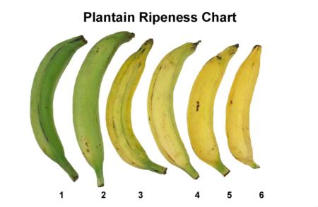 Ripeness Chart